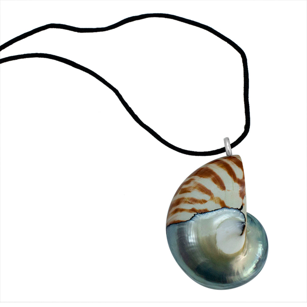 Nautilus-Halskette – limitierte Auflage (3 Stile)