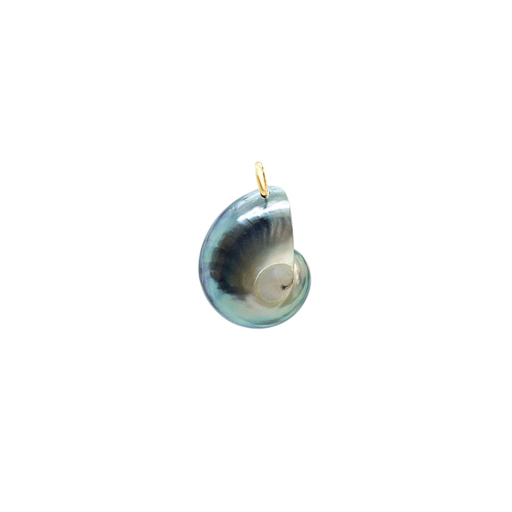 Nautilus-Halskette – limitierte Auflage (3 Stile)