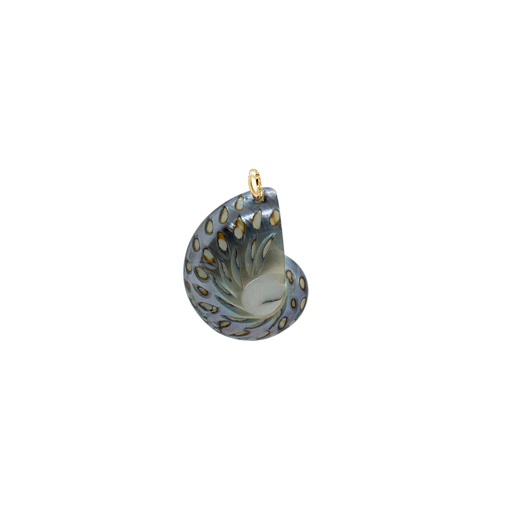 Nautilus-Halskette – limitierte Auflage (3 Stile)