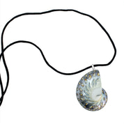 Nautilus-Halskette – limitierte Auflage (3 Stile)