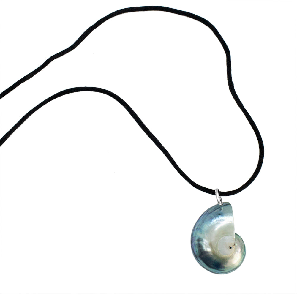 Nautilus-Halskette – limitierte Auflage (3 Stile)