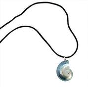Nautilus-Halskette – limitierte Auflage (3 Stile)