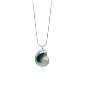 Nautilus-Halskette – limitierte Auflage (3 Stile)