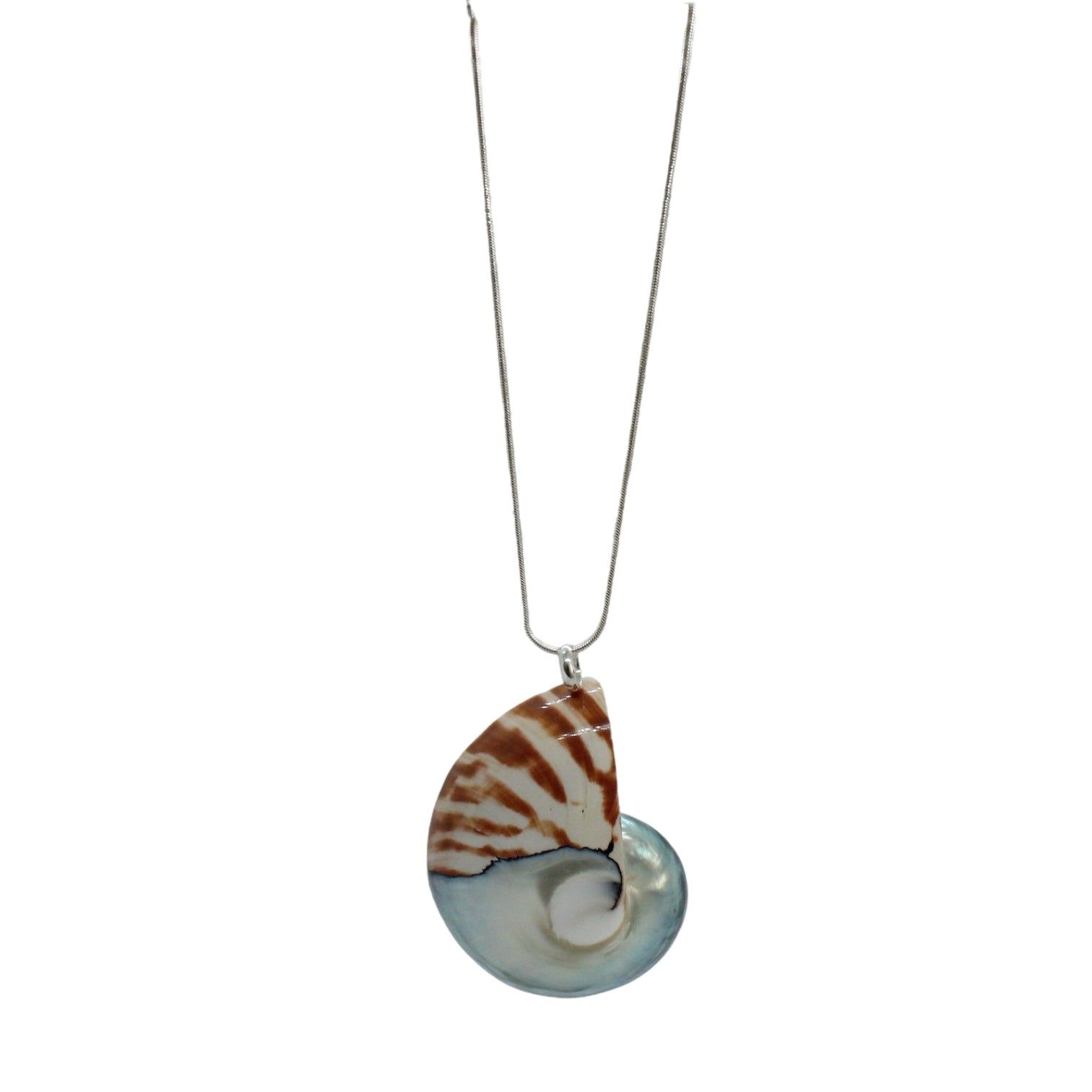 Nautilus-Halskette – limitierte Auflage (3 Stile)