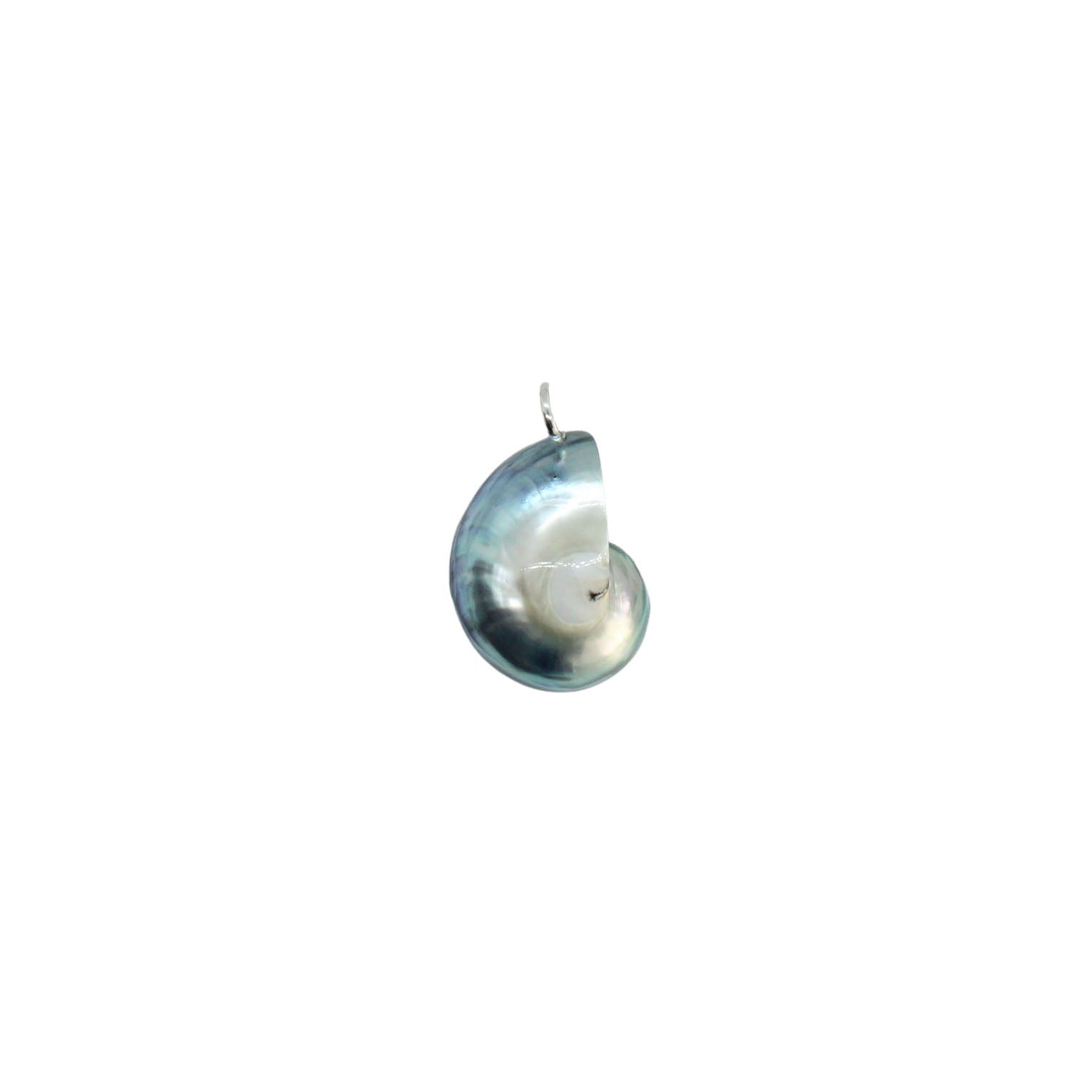 Nautilus-Halskette – limitierte Auflage (3 Stile)