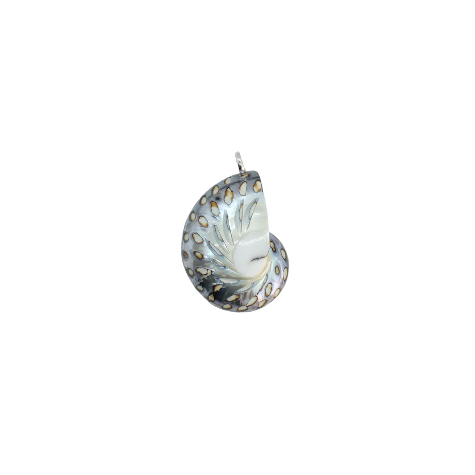 Nautilus-Halskette – limitierte Auflage (3 Stile)