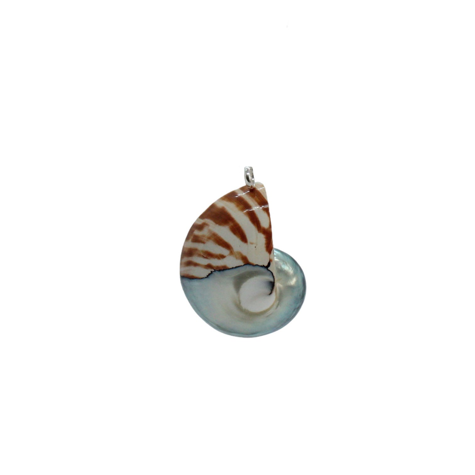 Nautilus-Halskette – limitierte Auflage (3 Stile)