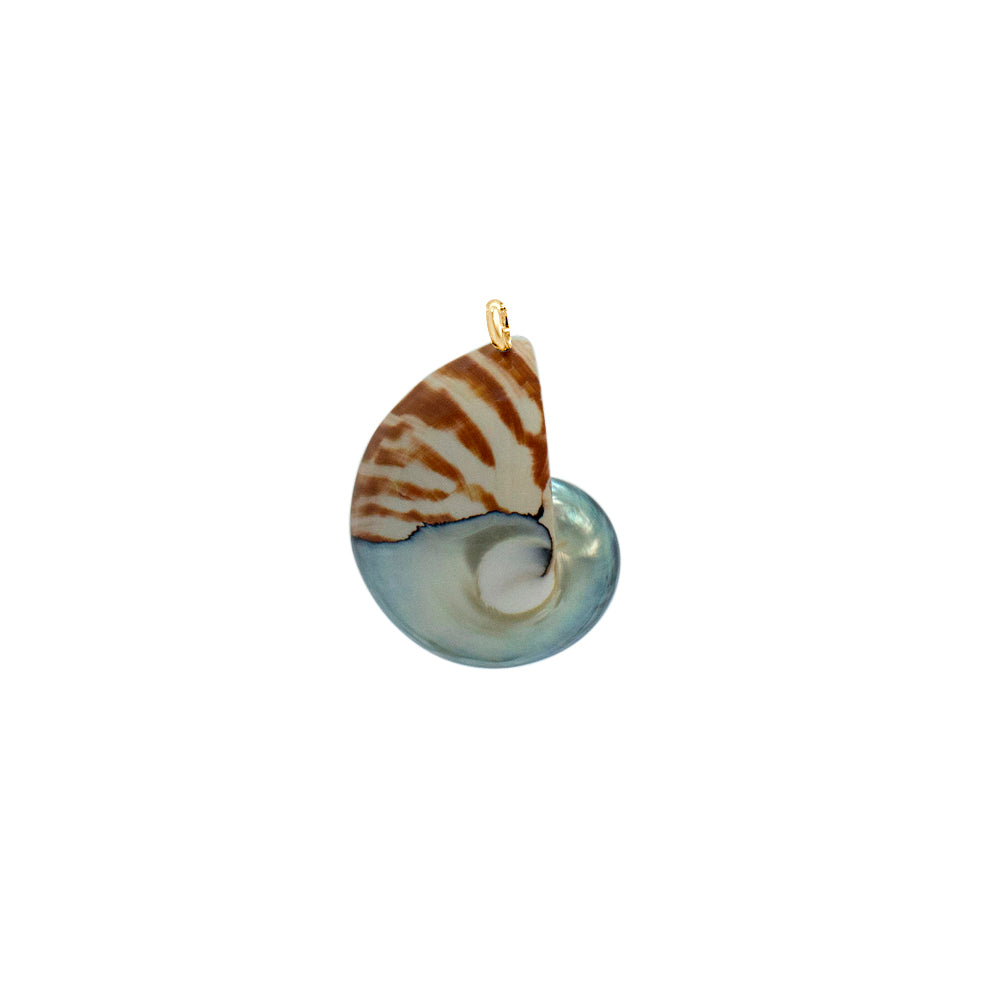 Nautilus-Halskette – limitierte Auflage (3 Stile)