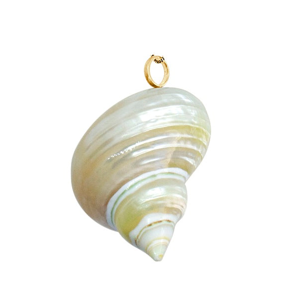 Turbo Necklace - Limited ED