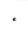 Le Coquillage Pendant - NUUK
